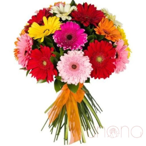 Happy Moment Gerberas Bouquet (Regular)